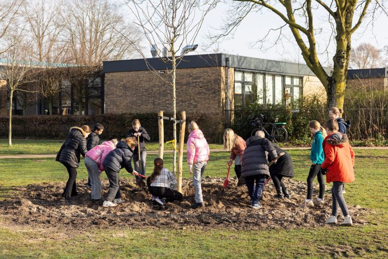 750e boom geplant in Helmond: nieuwe Voorleesboom verbindt buurten basisschool