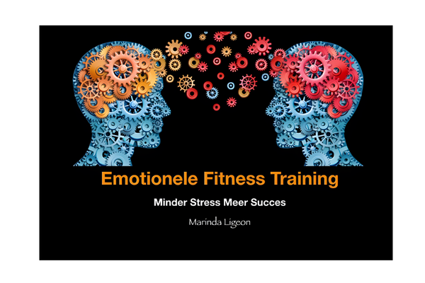 Workshop ‘Minder stress, meer succes’