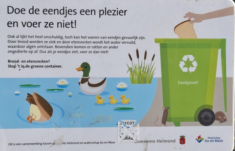 Zwanenkoppel met 6 jongen in de Anna wijk Suytkade
